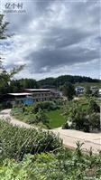 四川省,广元市,苍溪县,新观乡,星桥村