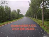 山东省,德州市,武城县,老城镇,新和社区