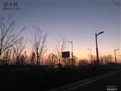 河南省,开封市,兰考县,固阳镇,朱庄村