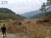 江西省,萍乡市,芦溪县,新泉乡,东安里村