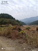 江西省,萍乡市,芦溪县,新泉乡,东安里村