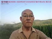 辽宁省,朝阳市,龙城区,半拉山街道,半拉山村