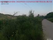 辽宁省,朝阳市,龙城区,半拉山街道,半拉山村