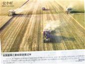 河南省,商丘市,梁园区,李庄乡,潘堂村