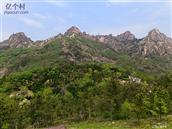 山东省,德州市,夏津县,苏留庄镇,尤王庄村