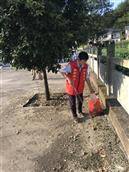 湖北省,十堰市,郧阳区,南化塘镇,磊石河村