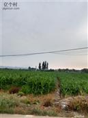 山西省,临汾市,洪洞县,龙马乡,西崔堡村