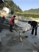 湖北省,十堰市,郧阳区,南化塘镇,磊石河村