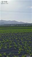 山西省,忻州市,原平市,西镇乡,南申村