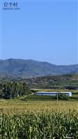 山西省,忻州市,原平市,西镇乡,南申村