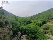 山东省,德州市,夏津县,苏留庄镇,尤王庄村