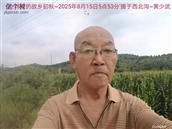 辽宁省,朝阳市,龙城区,半拉山街道,半拉山村