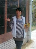 河南省,洛阳市,宜阳县,高村乡,高村