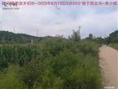 辽宁省,朝阳市,龙城区,半拉山街道,半拉山村