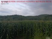 辽宁省,朝阳市,龙城区,半拉山街道,半拉山村