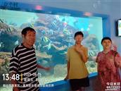 山东省,烟台市,招远市,齐山镇,后疃村