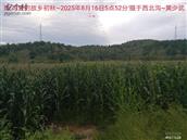 辽宁省,朝阳市,龙城区,半拉山街道,半拉山村