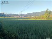 湖南省,邵阳市,隆回县,罗洪乡,官树下村