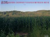 辽宁省,朝阳市,龙城区,半拉山街道,半拉山村