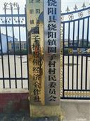 河北省,衡水市,饶阳县,饶阳镇,圈子村