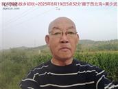 辽宁省,朝阳市,龙城区,半拉山街道,半拉山村