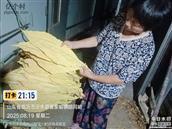 山东省,临沂市,沂水县,崔家峪镇,胡同峪村