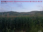 辽宁省,朝阳市,龙城区,半拉山街道,半拉山村