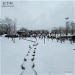 安徽省,宿州市,泗县,草沟镇,草沟村