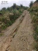 甘肃省,天水市,张家川县,胡川乡,后湾村