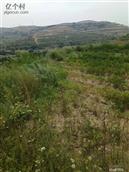 甘肃省,天水市,张家川县,胡川乡,后湾村