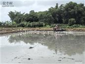 广东省,汕尾市,海丰县,陶河镇,下边村