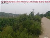 辽宁省,朝阳市,龙城区,半拉山街道,半拉山村