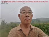 辽宁省,朝阳市,龙城区,半拉山街道,半拉山村