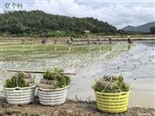 广东省,汕尾市,海丰县,陶河镇,下边村
