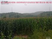 辽宁省,朝阳市,龙城区,半拉山街道,半拉山村