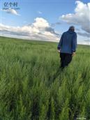 内蒙古,包头市,达尔罕茂明安联合旗,石宝镇,古碌轴村