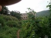 贵州省,六盘水市,钟山区,汪家寨镇,吴家寨社区村