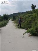 山东省,烟台市,龙口市,石良镇,水夼村