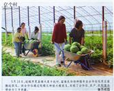 山西省,运城市,夏县,南大里乡,赵村