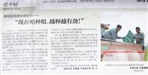 晓史村 晓史村