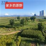 山西省,大同市,云州区,党留庄乡,罗庄村
