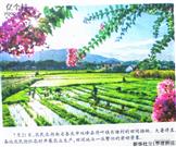 湖南省,娄底市,双峰县,荷叶镇,长塘村
