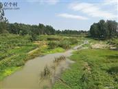 山东省,枣庄市,滕州市,龙阳镇,冯营村