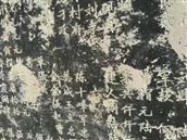 山东省,枣庄市,滕州市,龙阳镇,冯营村