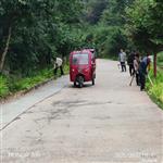 甘肃省,陇南市,成县,沙坝镇,桦树村