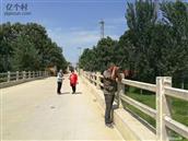 山东省,枣庄市,滕州市,龙阳镇,冯营村