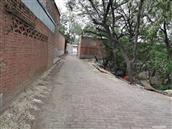 河北省,保定市,容城县,八于乡,南河照村