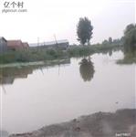 天津市,武清区,黄庄街道,老米店村