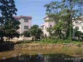 湖南省,郴州市,临武县,同益乡,唐家村