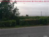 辽宁省,朝阳市,龙城区,半拉山街道,半拉山村